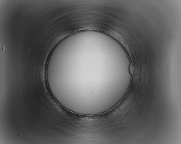 X0000089400898200706291405