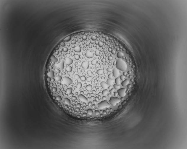 X0000089400899200706291405