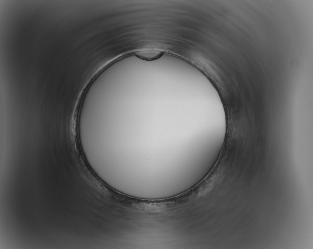 X0000089400900200706291405