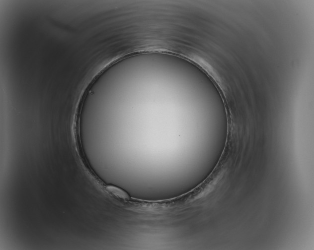 X0000089400901200706291405