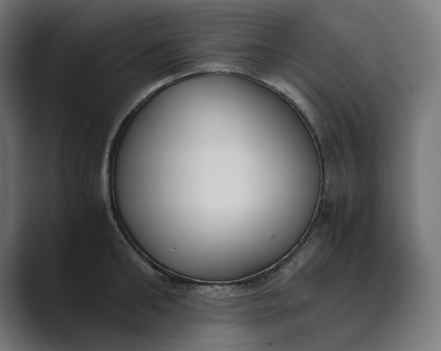 X0000089400902200706291405