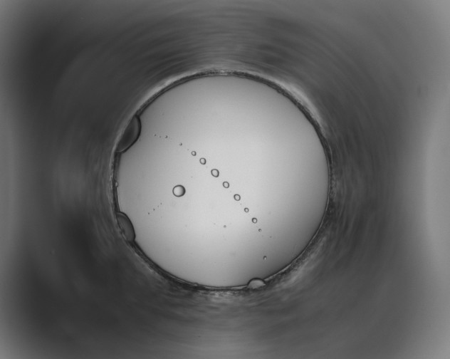 X0000089400903200706291405