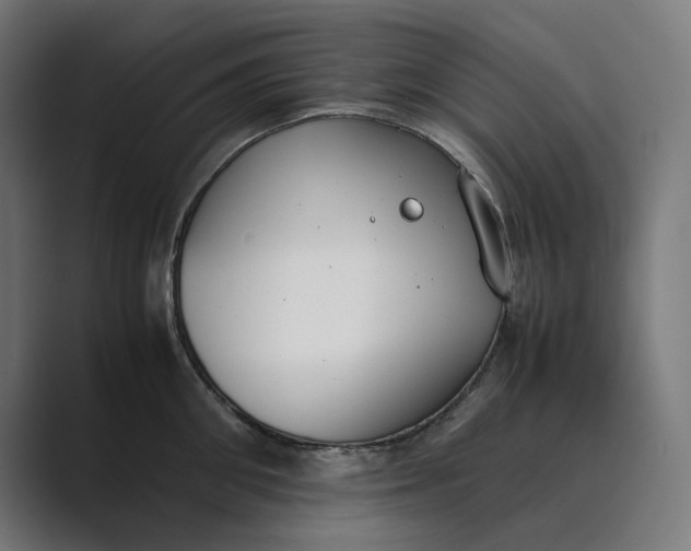 X0000089400906200706291405