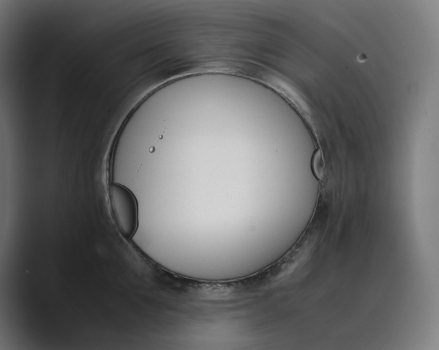 X0000089400907200706291405