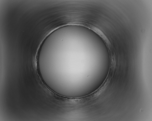 X0000089400908200706291405