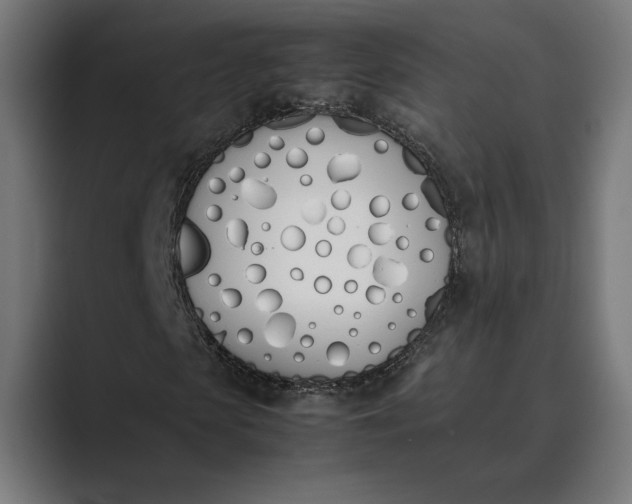 X0000089400913200706291404