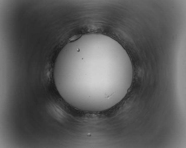 X0000089400914200706291404