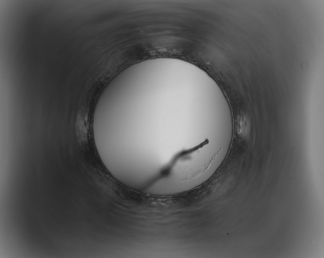 X0000089400915200706291404