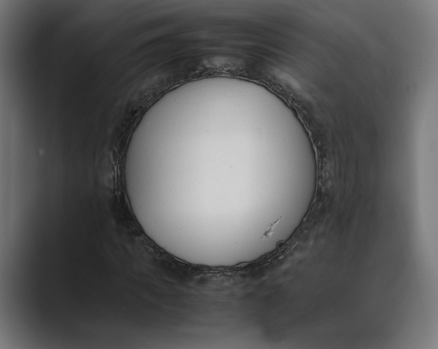 X0000089400917200706291404