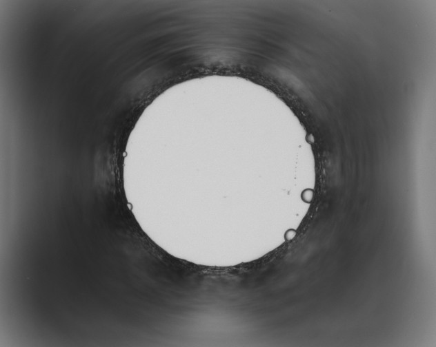 X0000089400918200706291404