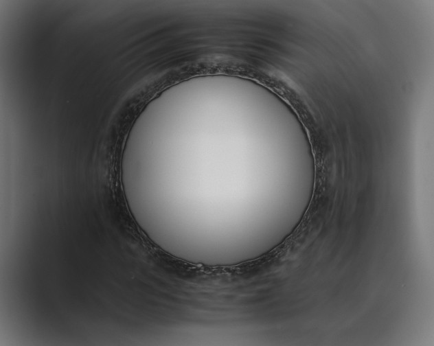 X0000089400919200706291404