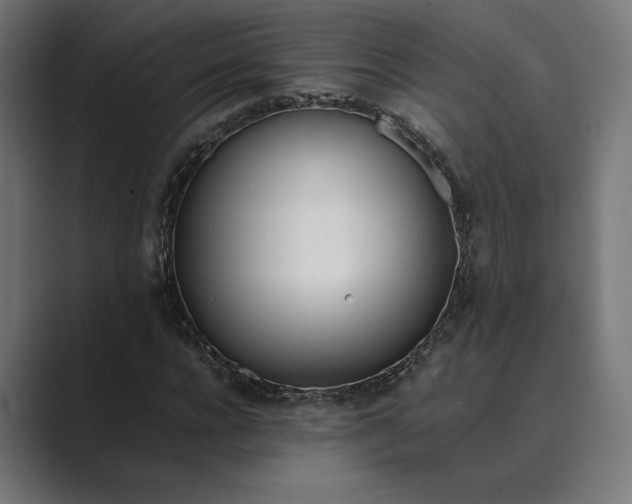 X0000089400920200706291404