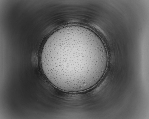 X0000089400921200706291404