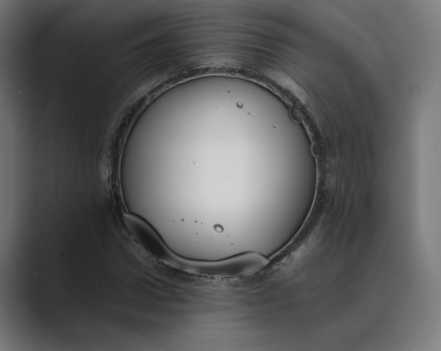 X0000089400922200706291404