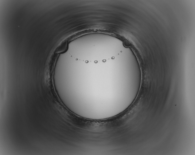 X0000089400923200706291404