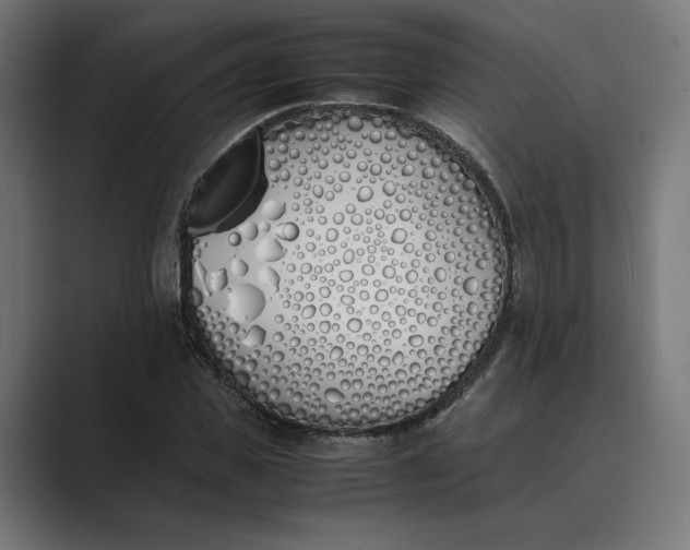 X0000089400925200706291404