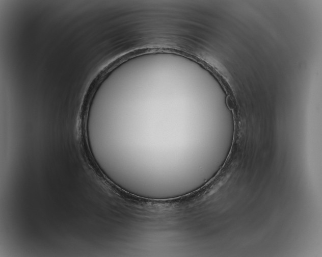 X0000089400928200706291404