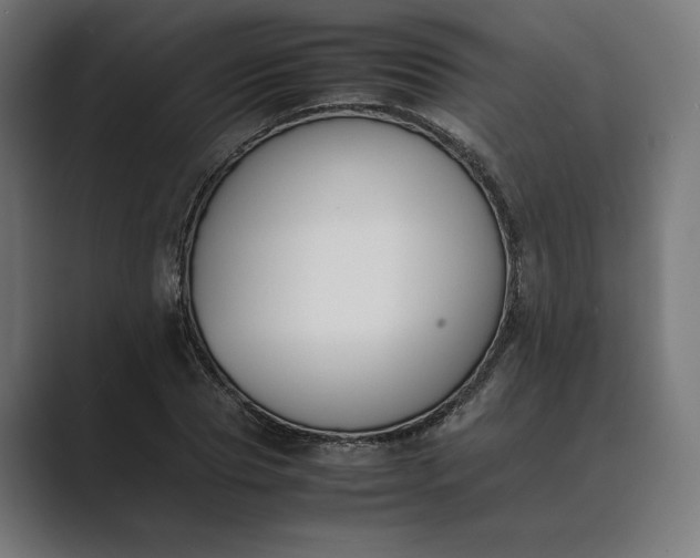 X0000089400929200706291404