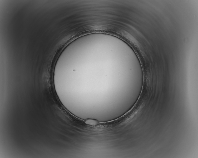 X0000089400930200706291404