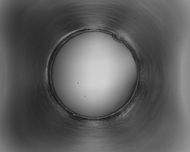 X0000089400932200706291404