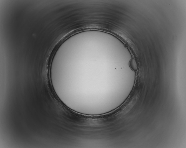 X0000089400933200706291404