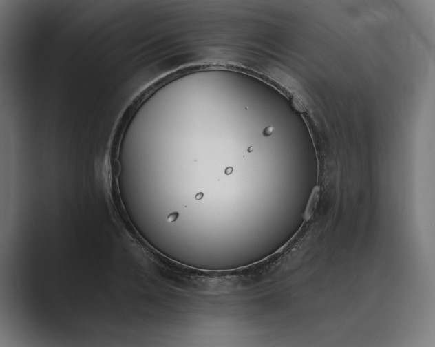 X0000089400936200706291404