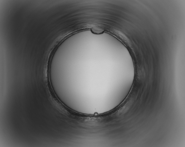 X0000089400938200706291404