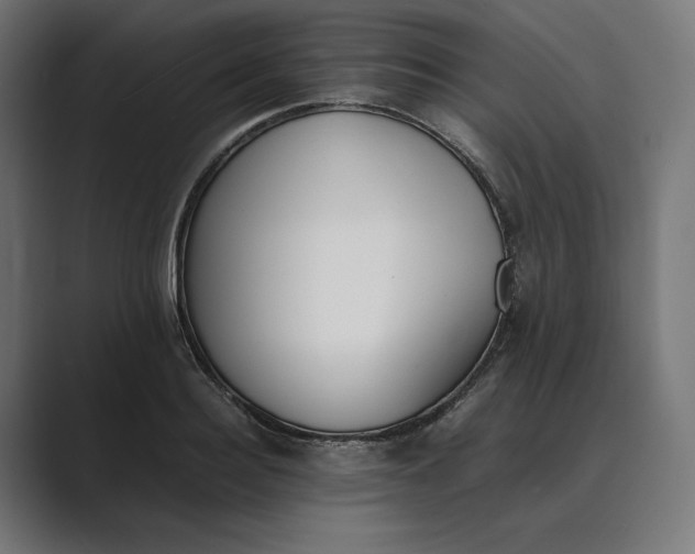 X0000089400940200706291405