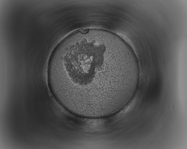 X0000089400941200706291405