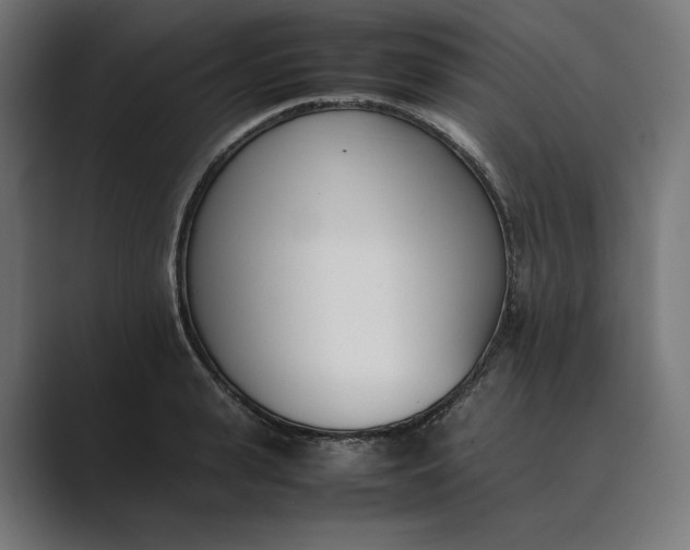 X0000089400943200706291405