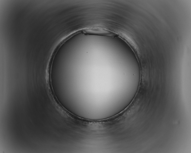 X0000089400944200706291405