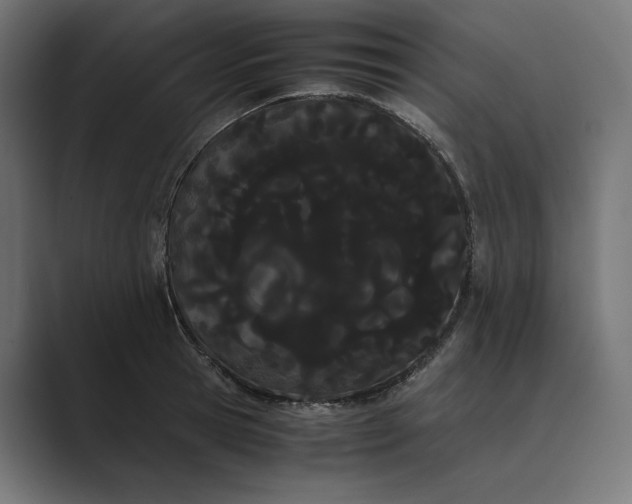 X0000089400945200706291405