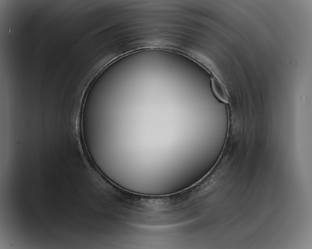 X0000089400946200706291405