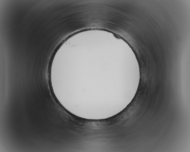 X0000089400950200706291405