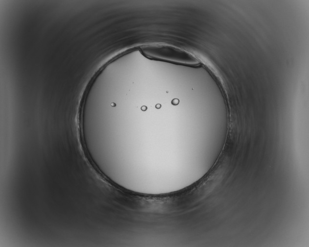 X0000089400951200706291405