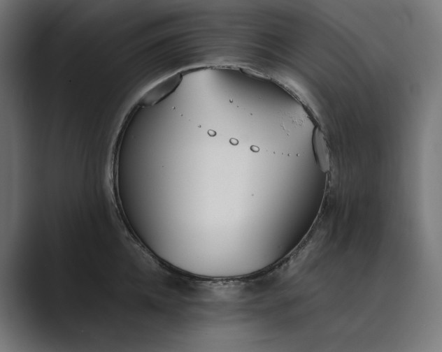 X0000089400952200706291405