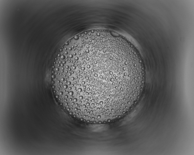 X0000089400953200706291405