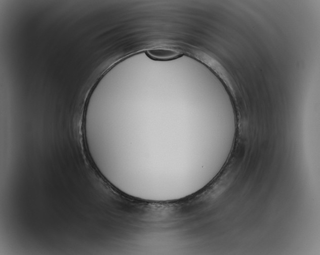 X0000089400954200706291405