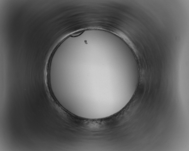 X0000089400955200706291405