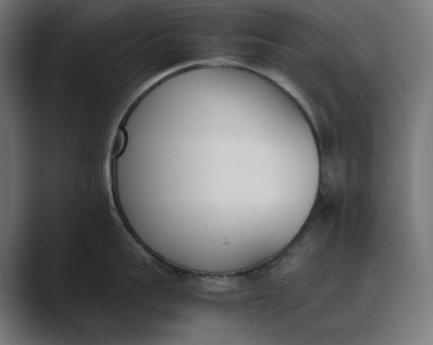 X0000089400959200706291405