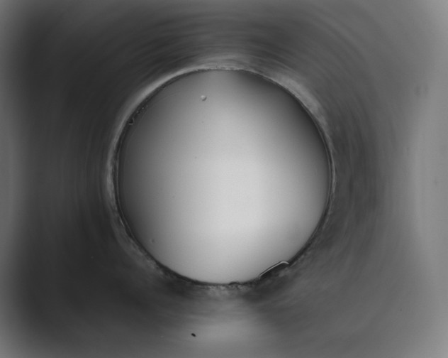 X0000089400960200706291405