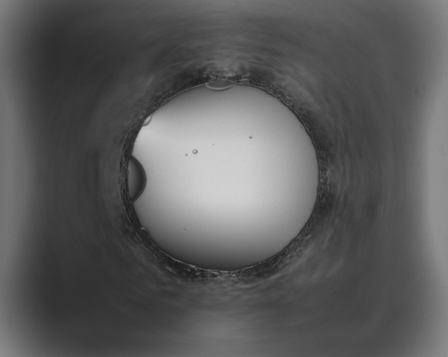 X0000089400961200706291404