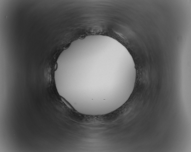 X0000089400962200706291404