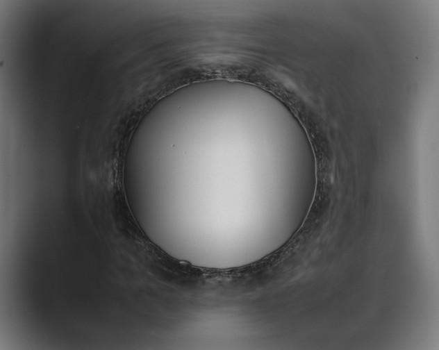 X0000089400965200706291404