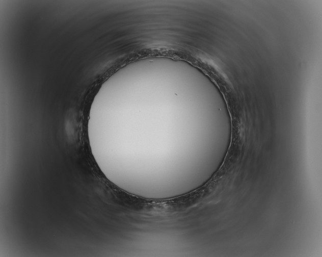 X0000089400968200706291404