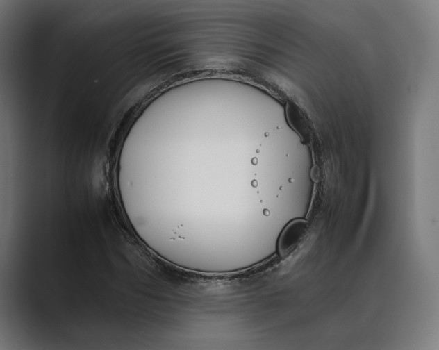 X0000089400970200706291404