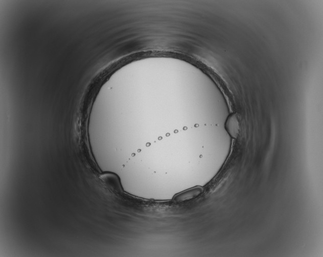 X0000089400971200706291404