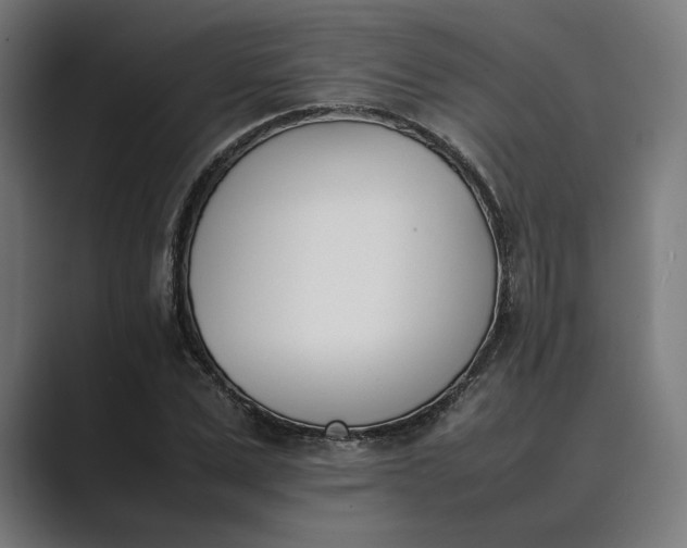 X0000089400975200706291404