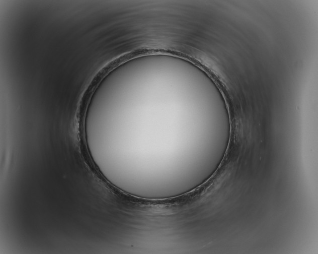 X0000089400976200706291404