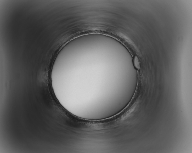 X0000089400977200706291404